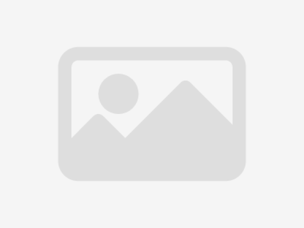 FORKLIFT TRUCKS AND HANDLER